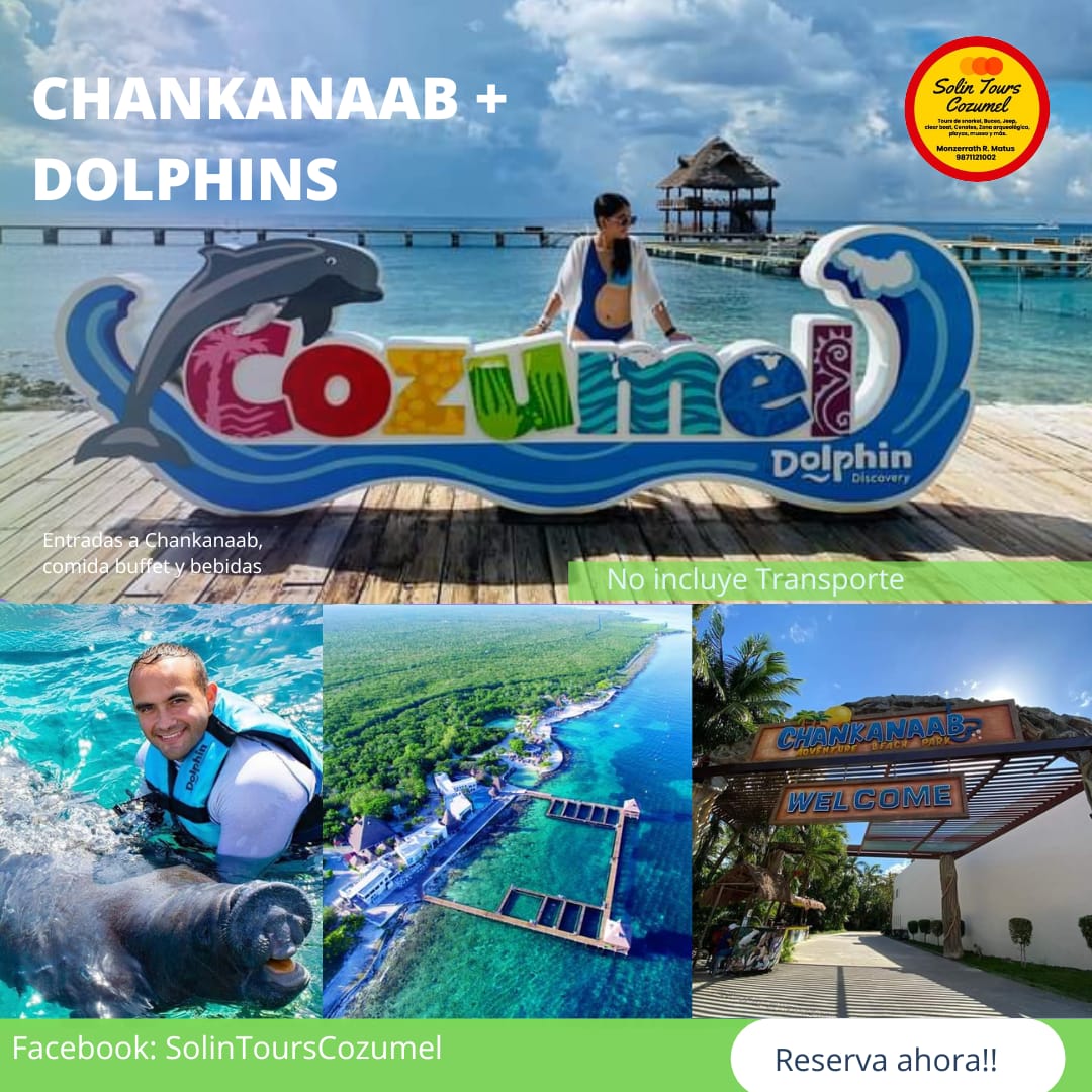 Chankanaab + Show de delfines